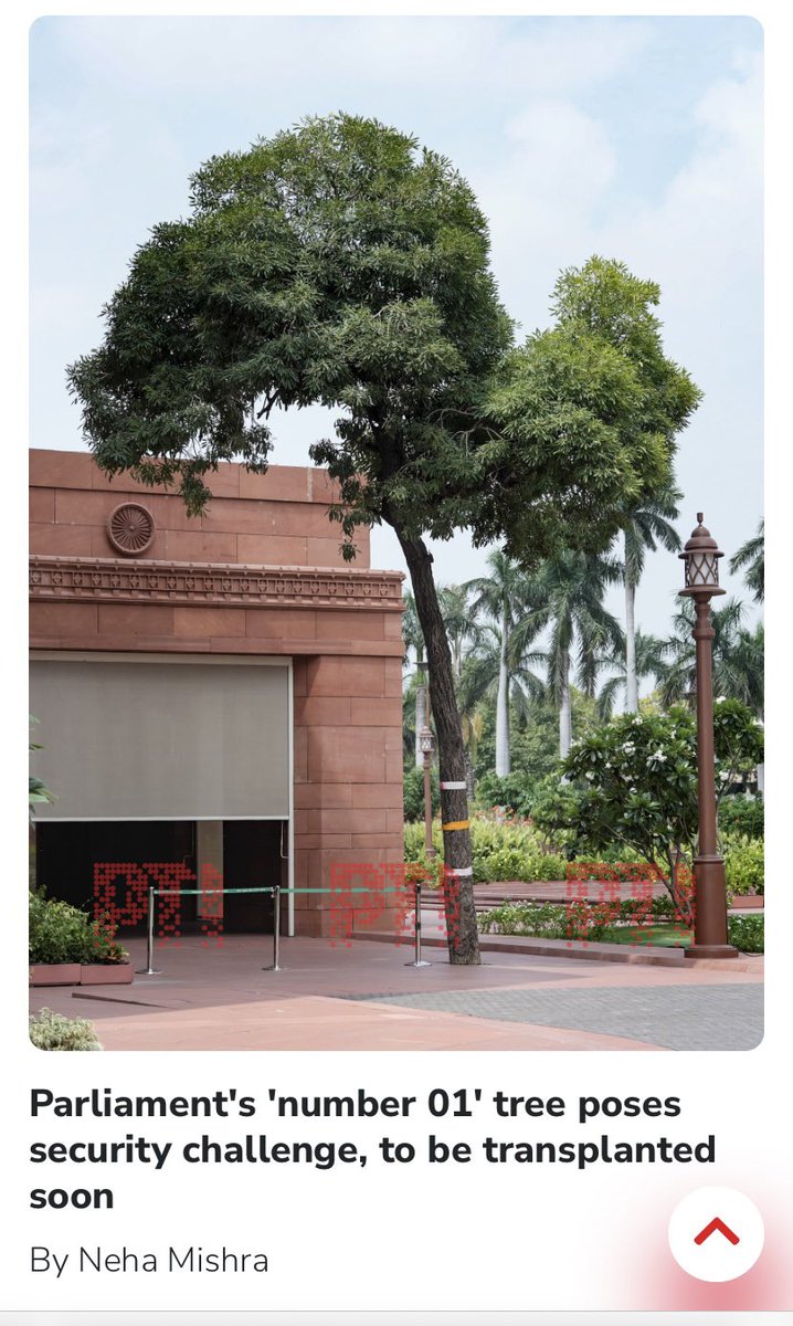 Exclusive: 

A lone tree at the Gaj Dwar of the new Parliament - often used by PM Modi- has been flagged by #SPG as a security hindrance. It will soon be transplanted within the complex. #Parliament #Delhi

ptinews.com/story/national…