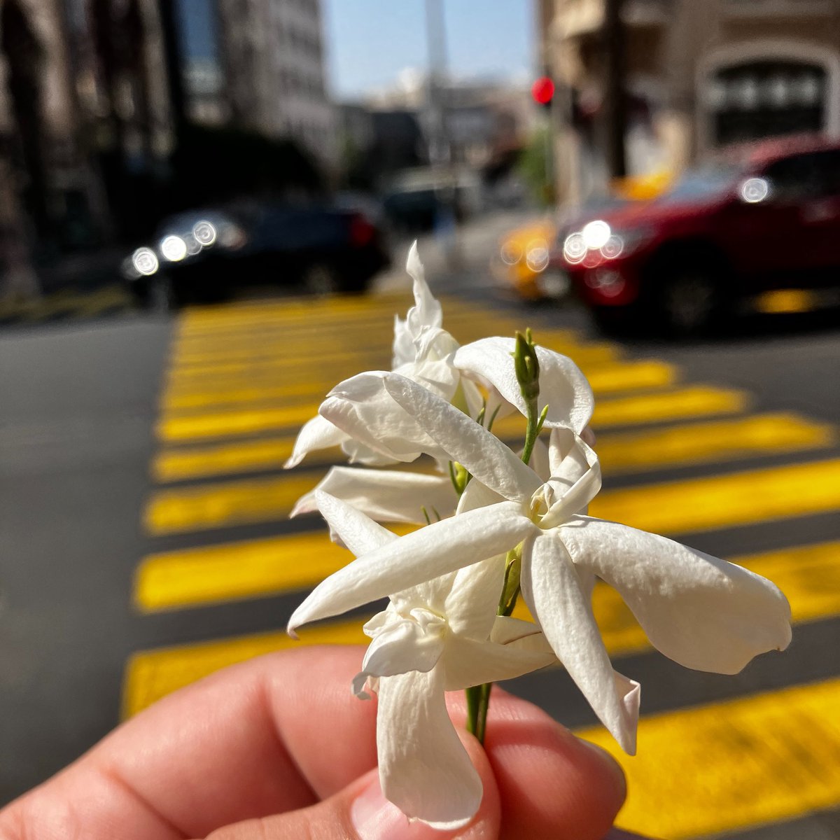 kırmızıda beklerken*