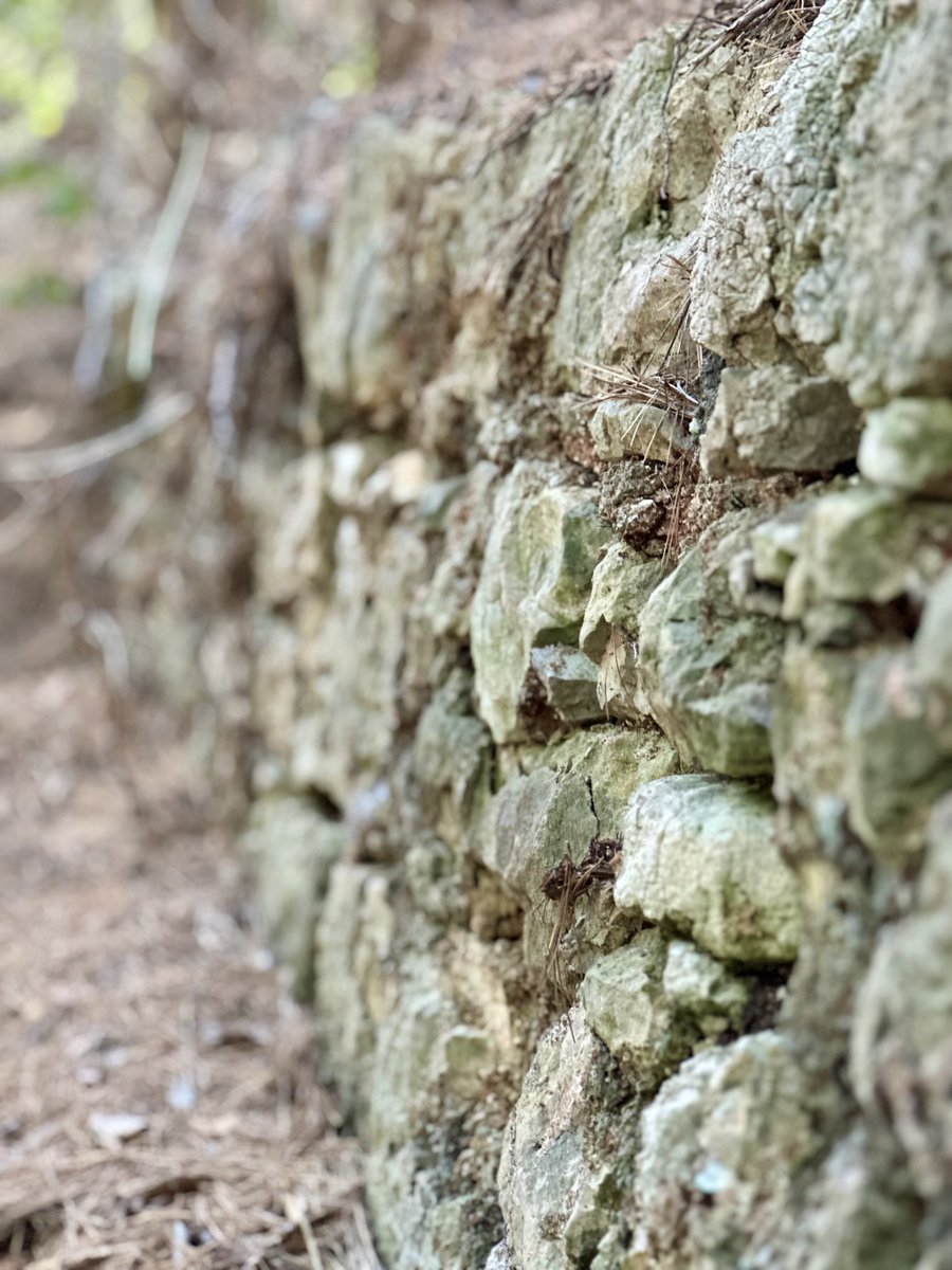 Enfin trouvées ! Les toutes dernières ruines du Fort de Monterey bâti par les Espagnols pendant l’occupation de l’île Sainte-Marguerite, de 1635 à 1637.