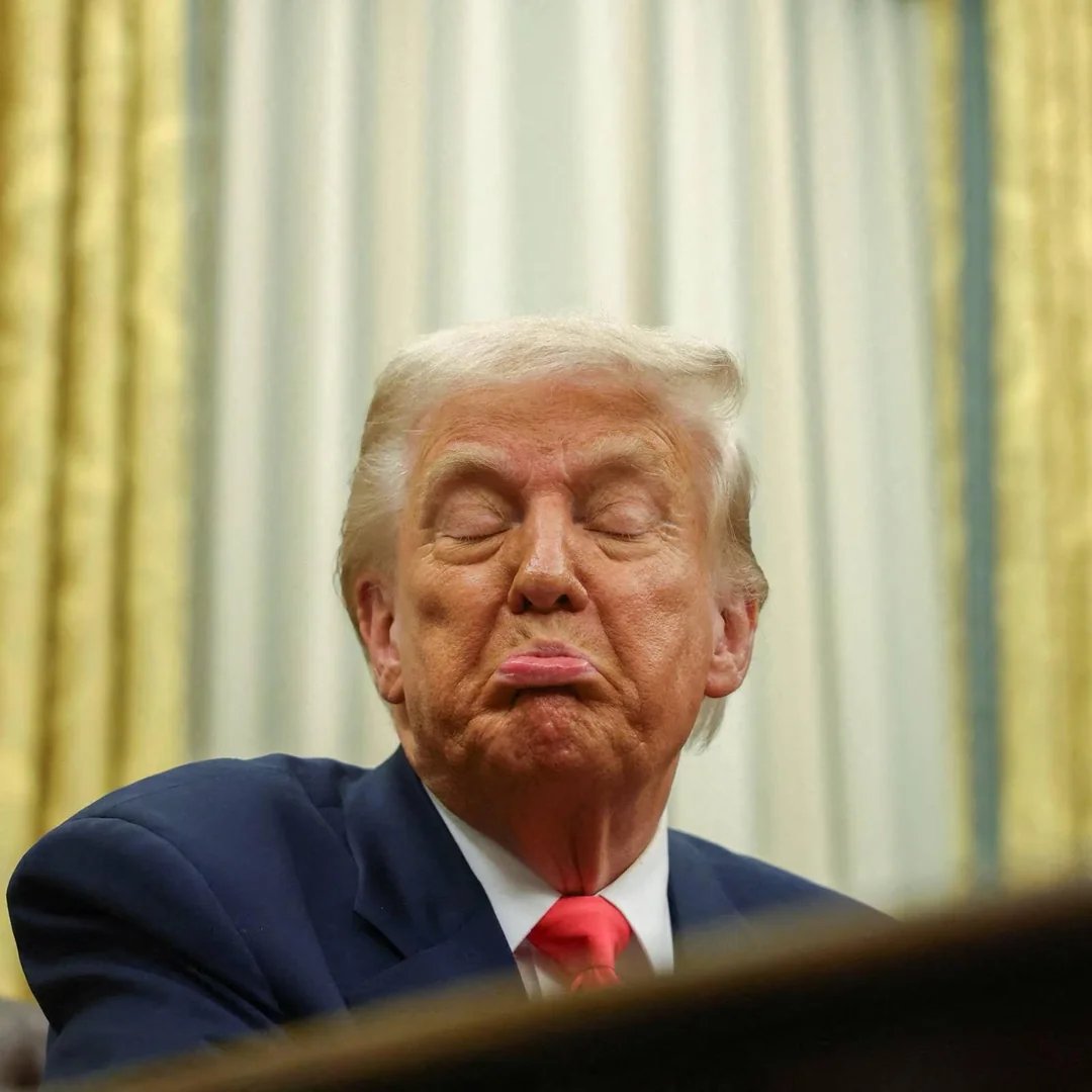 maddenifico's tweet image. Future generations of Americans are going to look back at the abject cruelty, incompetence, and stupidity of the Trump era and ask, "What the fuck was wrong with these people?"