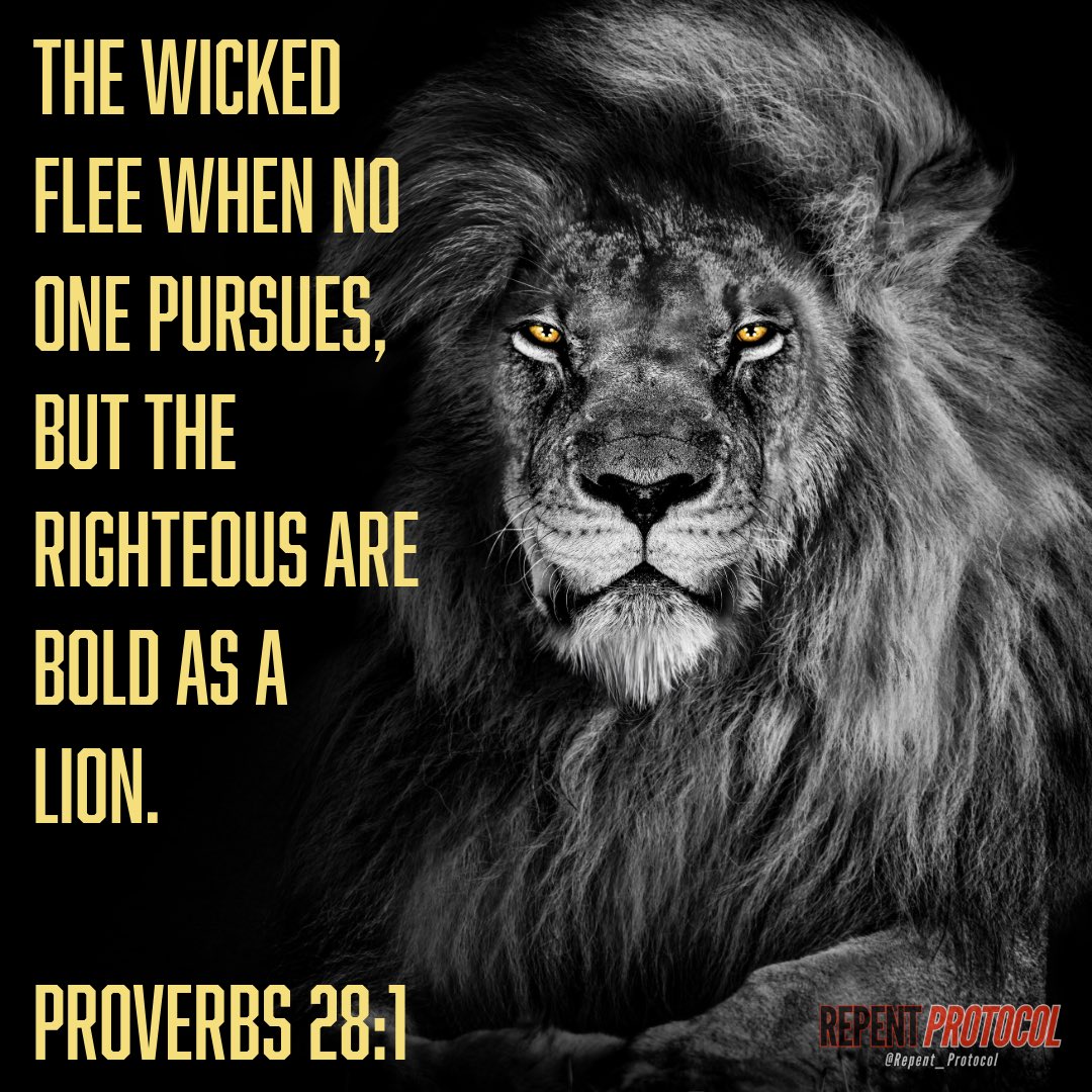 Repent_Protocol's tweet image. When you learn righteous is not of yourself but has been imputed upon you by Christ, the natural result will be boldness and confidence. Not by your works, but His. 
Turn to Jesus. 
#180degrees
#RepentProtocol