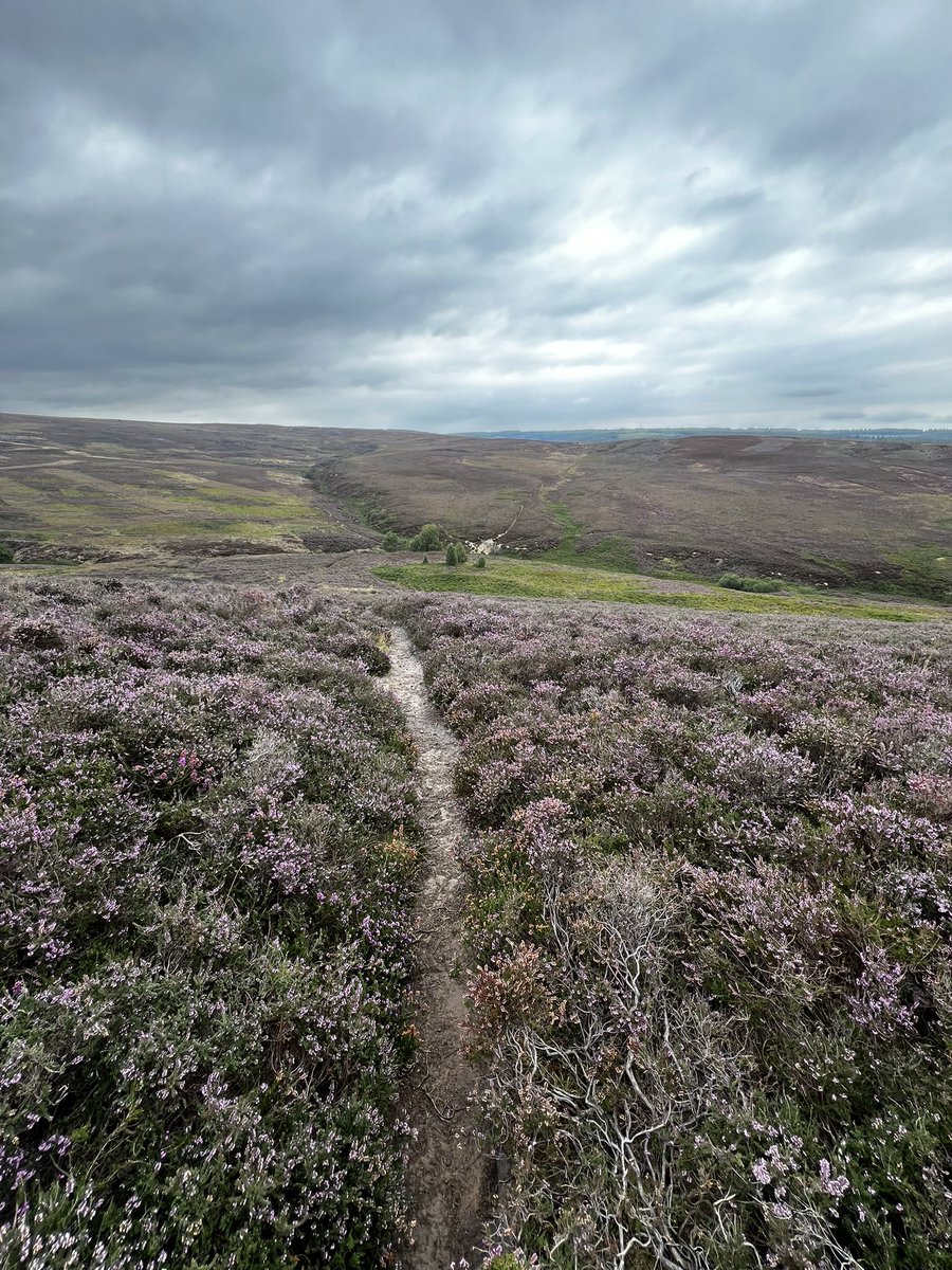 brendancormac's tweet photo. today i walked 30km across the North Yorks Moors… https://t.co/eA0Zm2jvuf