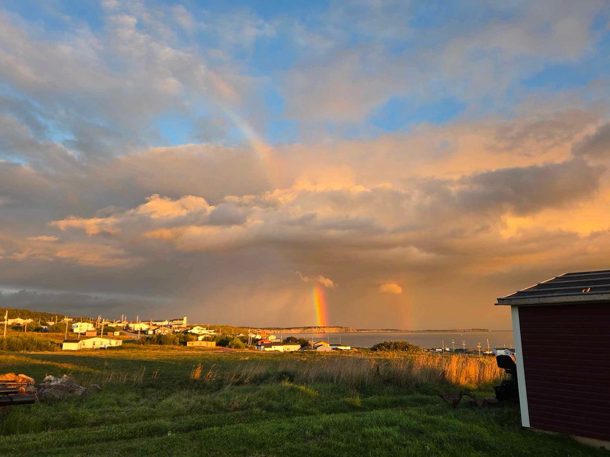 Eddie Sheerr tweet media