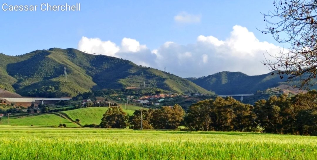 لا تبحث عن الطريق إلى الله… إنك تسير فيه منذ خُلِقت، فقط أزِل الغبار عن قلبك..📿

– جلال الدين الرومي