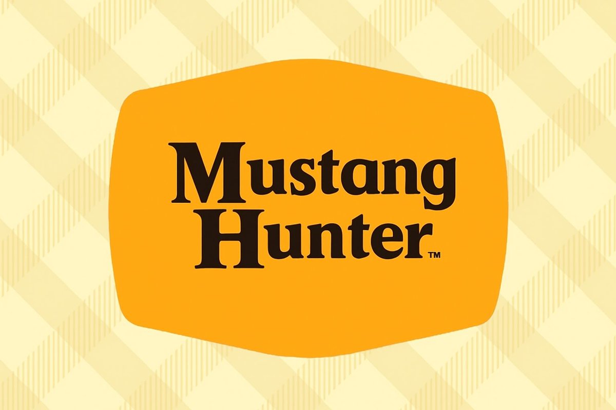 MUSTANG HUNTER DIECAST tweet media