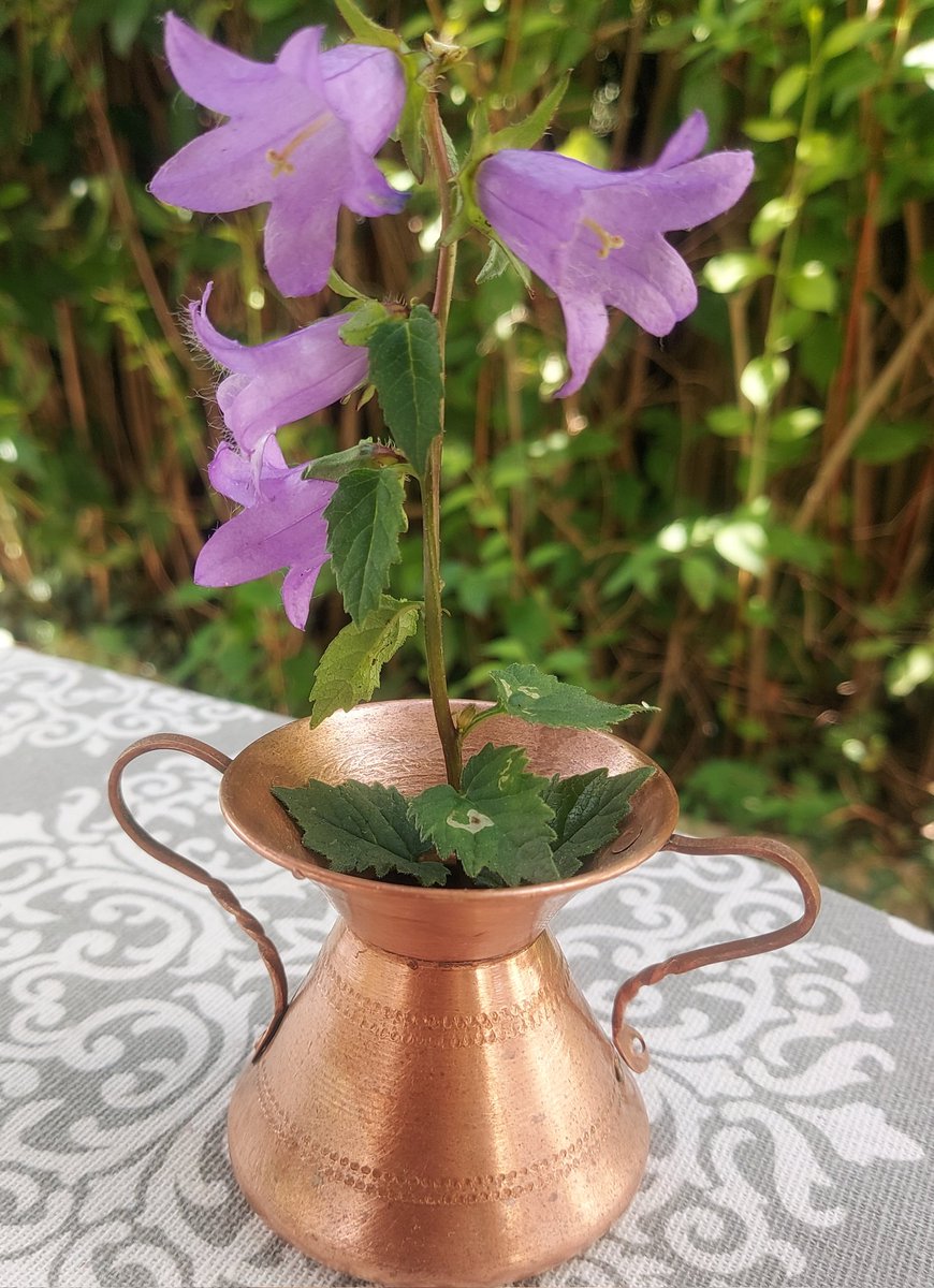 Maria Lea tweet media