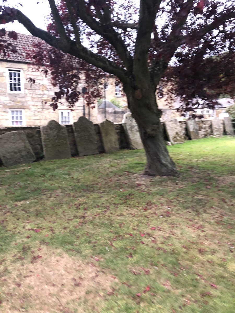 Joanna Di-Bella tweet media