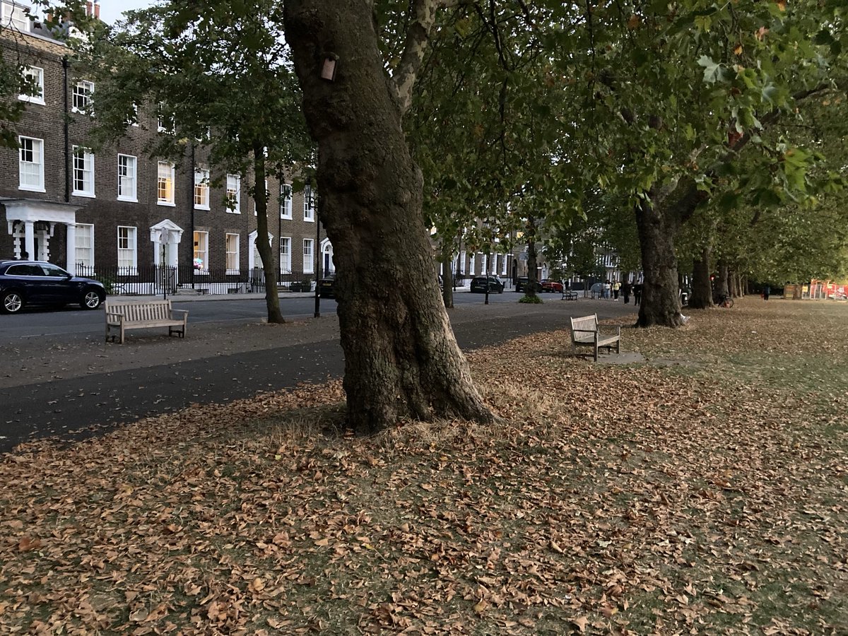 This is not Autumn. This is drought distress in Islington, London

Trees shed leaves to reduce water intake. It’s happening all over England