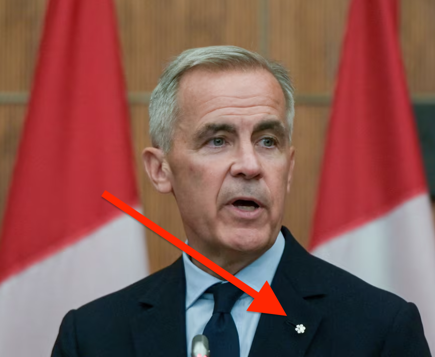 mrsunshinebaby's tweet photo. I can't fathom the fact our Prime Minister can't be bothered to wear a Canadian flag lapel pin during his public appearances, but instead chooses to wear a tiny medal he was given.

He's promoting himself, and is proud of himself. Mark Carney doesn't care about anything else. https://t.co/kwWIMZstVi