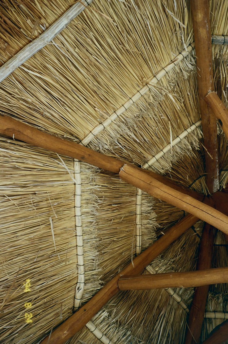 ✧༺♥༻✧ (@darrylwho) on Twitter photo 