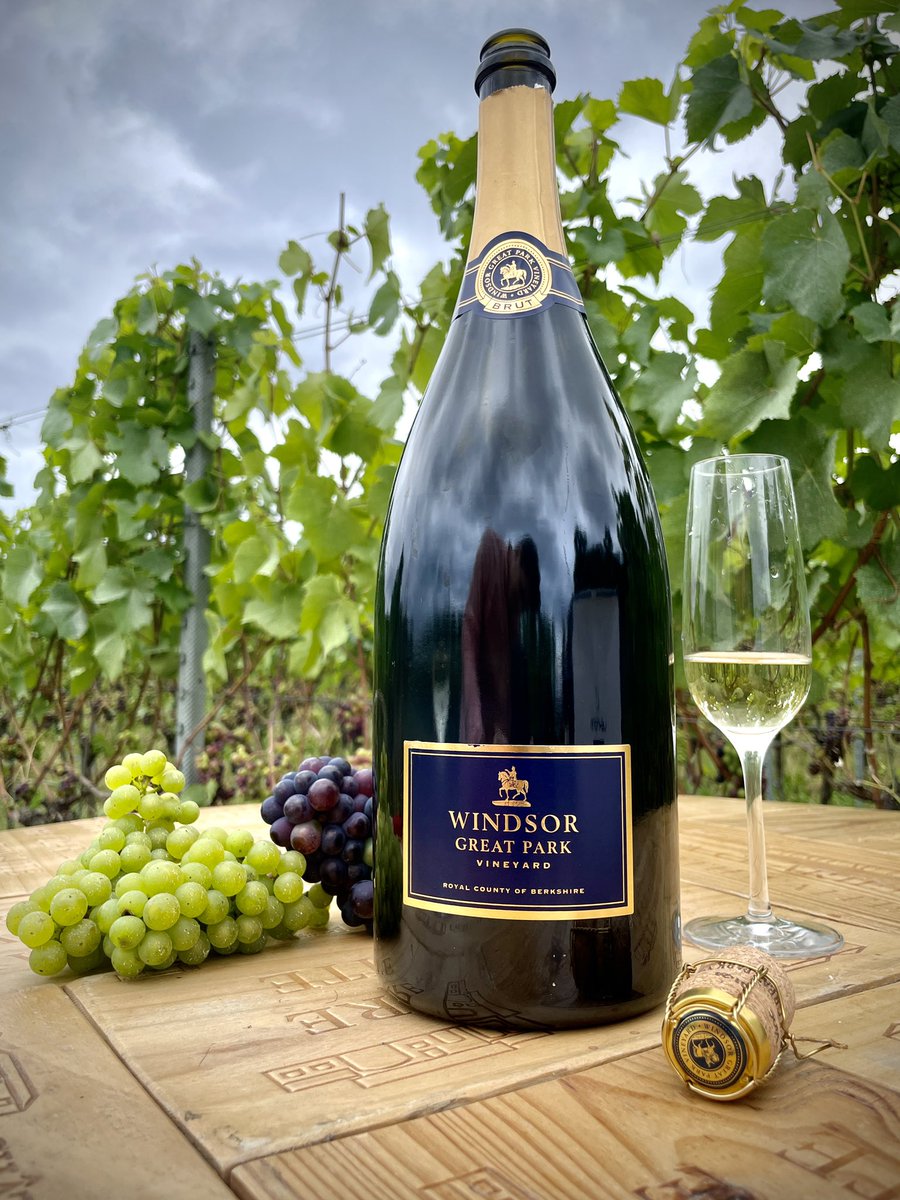 Some amazing things coming soon to sommtv.com including a new original film that tells the incredible story of this wine: