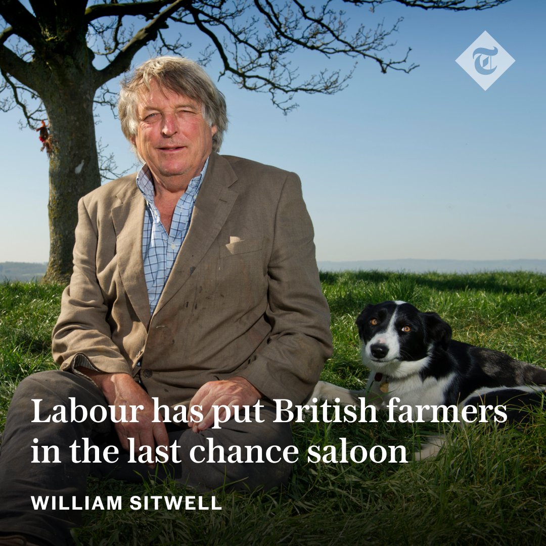 The Telegraph (@telegraph) on Twitter photo ✍️ Instead of helping our food suppliers in a difficult time, the Government seems determined to sabotage them | Writes <a href="/WilliamSitwell/">William Sitwell</a>
Read more below ⬇️
telegraph.co.uk/environment/20… ✍️ Instead of helping our food suppliers in a difficult time, the Government seems determined to sabotage them | Writes <a href="/WilliamSitwell/">William Sitwell</a>
Read more below ⬇️
telegraph.co.uk/environment/20…