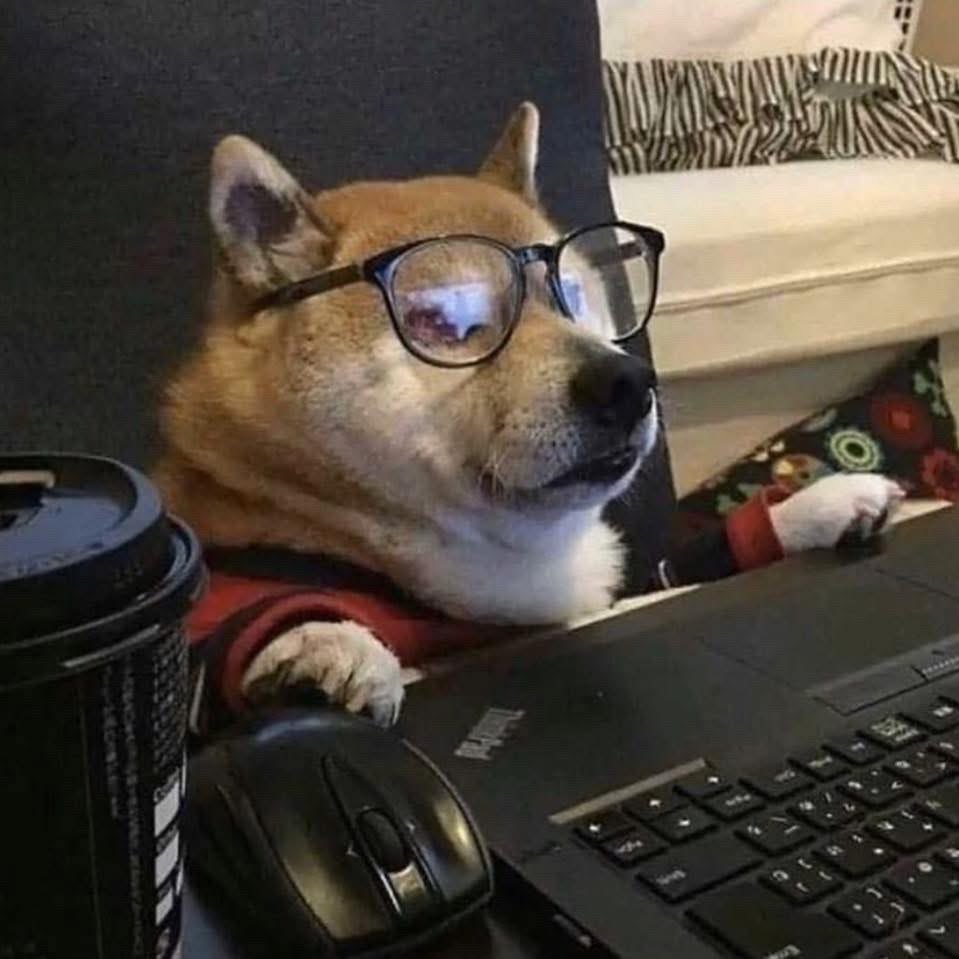 Someone just plug 🔌 something in my butt 
I’m suspecting <a href="/MC_BIGFOOT404/">MC</a>  

😂😂😂