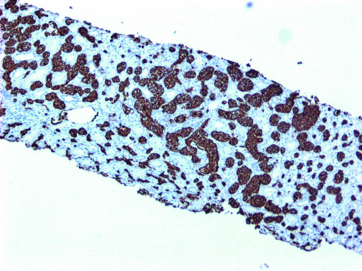 @Hemepathguy tweet media