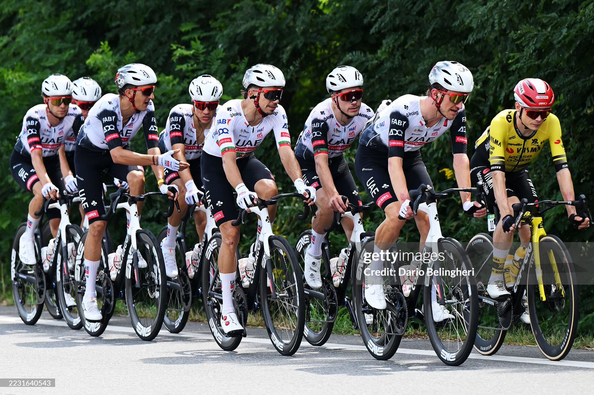 allergy_al🐸🎸🎤 tweet media