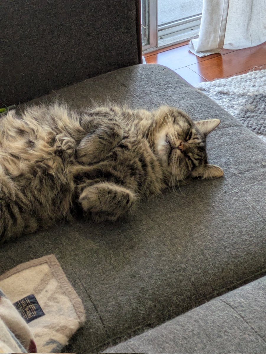 How is he like this?