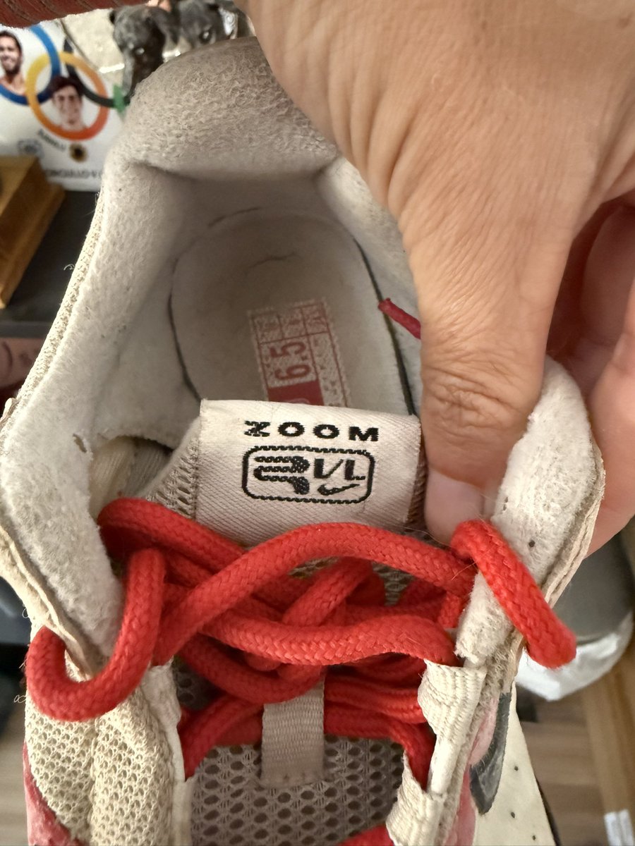 Carolina Robles 🔻💜🇪🇸 tweet media