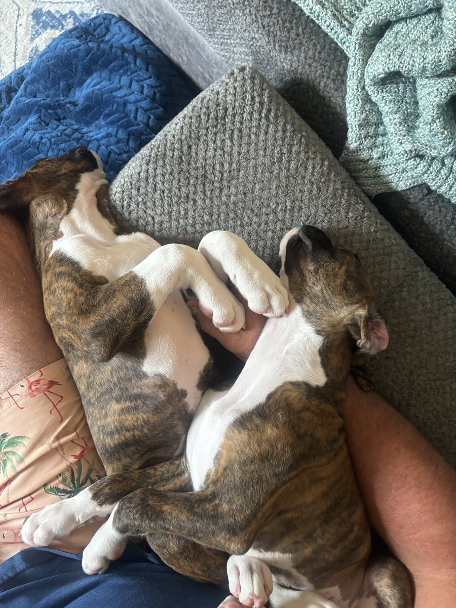 TimCupp6's tweet image. Nap time