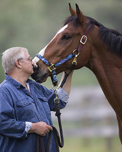 Working now to get all the #PaintedByMetro Prints uploaded to <a href="/amazon/">Amazon</a> 10% of all sales there will be donated to <a href="/NewVocations/">New Vocations</a> Racehorse Adoption Program in honor of Ron and Metro!
Here are the ones available now, and more coming everyday...
amazon.com/s?k=metro&me=A…