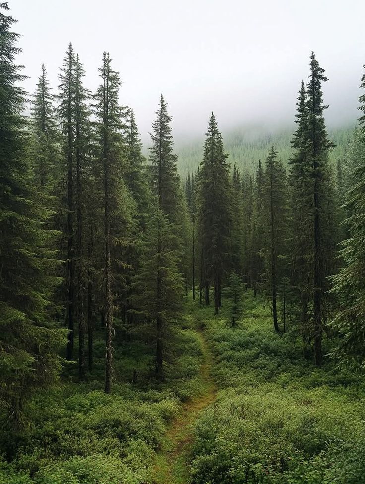 𝕰𝖑𝖊𝖒𝖒𝖎𝖗𝖊 tweet media