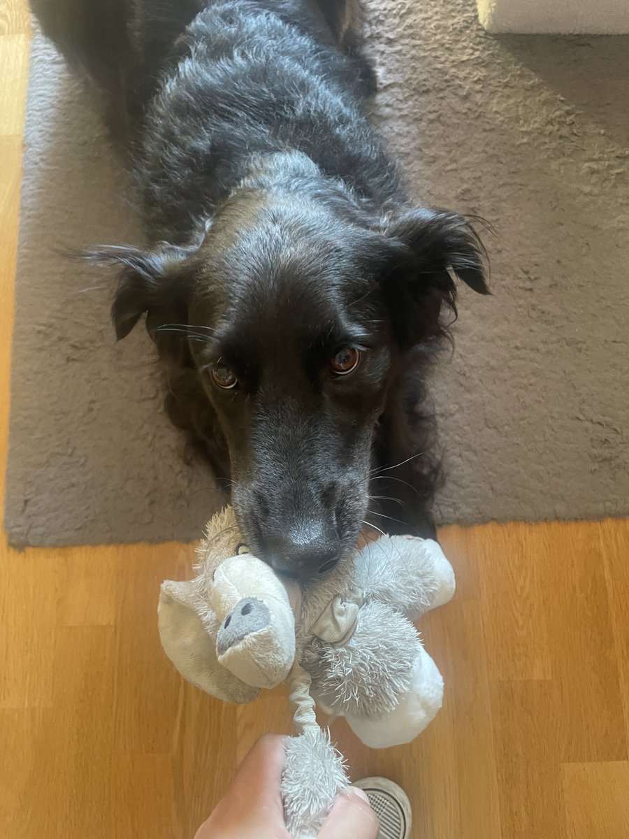 Valeria 🌙 (@vvvalgv) on Twitter photo 