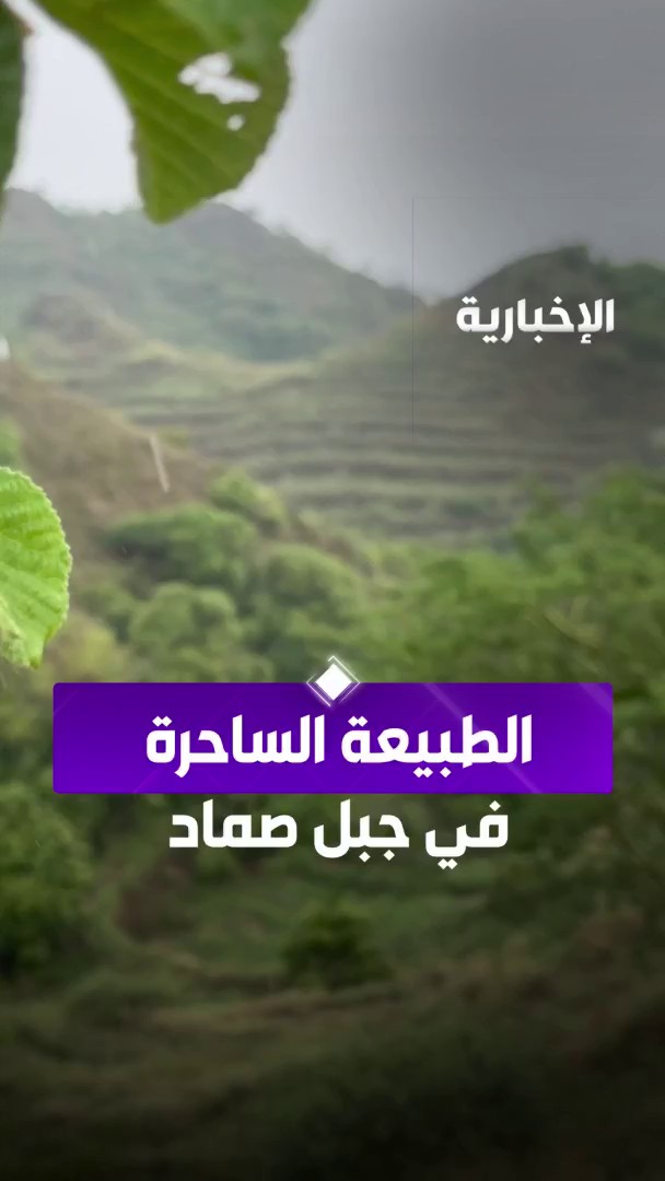 أمطار جبل صماد في جازان.. مشهد استثنائي وطبيعة ساحرة. عبر مراسل الإخبارية فهد الغزواني أمطار جبل صماد في جازان.. مشهد استثنائي وطبيعة ساحرة. عبر مراسل الإخبارية فهد الغزواني