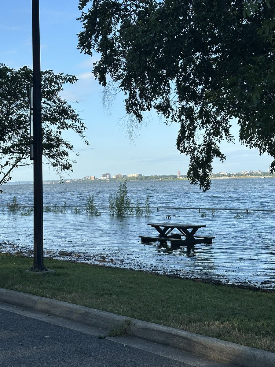 Laura Bach tweet media