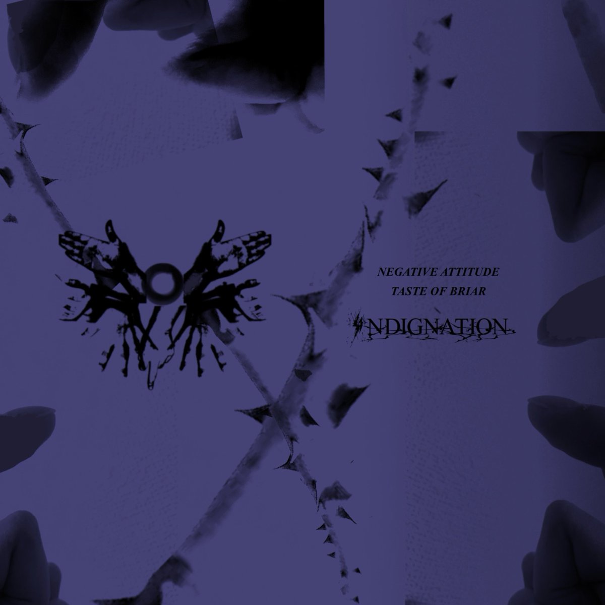 Single
''NEGATIVE ATTITUDE/TASTE OF BRIAR''

フィジカル初版分完売のため
各種サブスクリプションにて
配信を開始しました。

LINK⬇️
linkco.re/6P4xB026