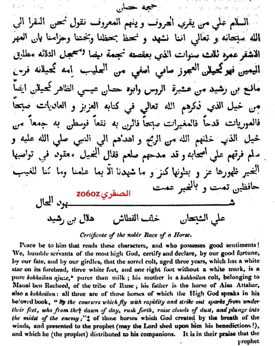 الصقري tweet media