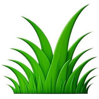 ankitweb23i's tweet photo. @vstapn Please go touch some grass https://t.co/bPM5Jw7520