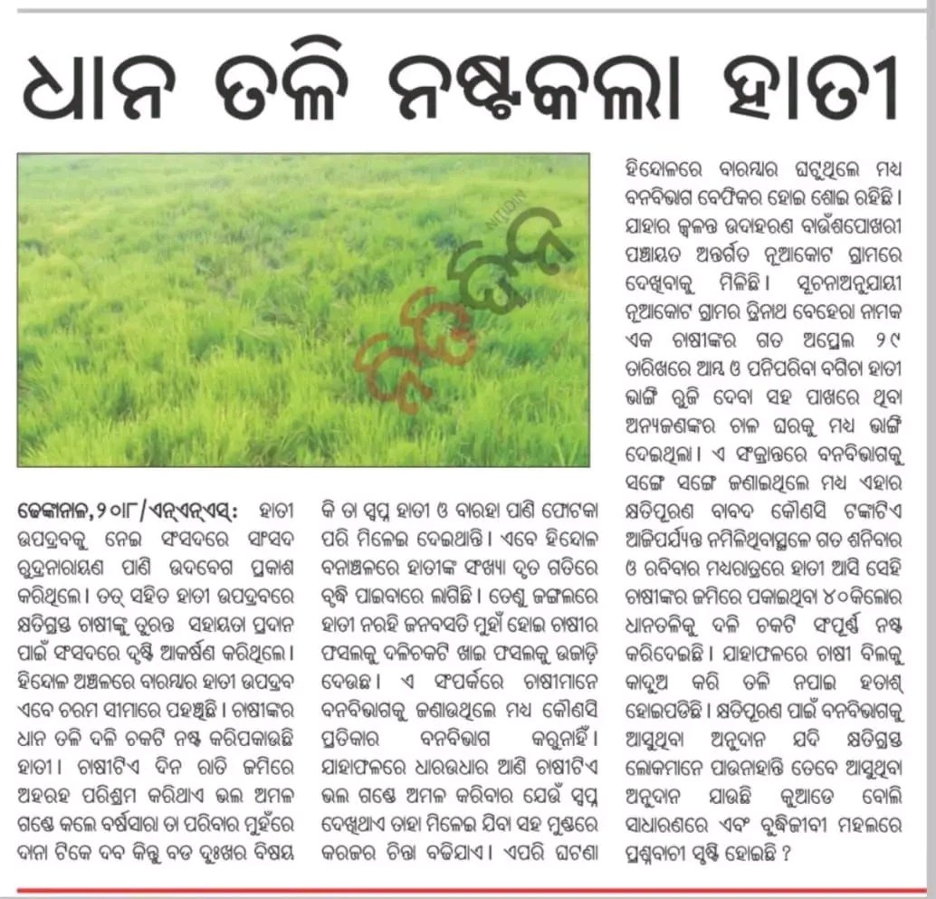 Satyabrat Nayak (@satyabrat_01) on Twitter photo କ୍ଷତିପୂରଣ ପାଇଁ ବନବିଭାଗକୁ ଆସୁଥିବା ଅନୁଦାନ ଯଦି କ୍ଷତିଗ୍ରସ୍ତ ଲୋକମାନେ ପାଉ ନାହାଁନ୍ତି ତେବେ ଆସୁଥିବା ଅନୁଦାନ ଯାଉଛି କୁଆଡେ ବୋଲି ସାଧାରଣରେ ଏବଂ ବୁଦ୍ଧିଜୀବୀ ମହଲରେ ପ୍ରଶ୍ନବାଚୀ ସୃଷ୍ଟି ହୋଇଛି..??
<a href="/CMO_Odisha/">CMO Odisha</a> <a href="/GaneshRamBJP/">Ganesh Ram Singkhuntia</a>
<a href="/ForestDeptt/">Odisha Forest, Env. and Climate Change Department</a> <a href="/PCCFWL_Odisha/">PCCF WL & CWLW, Odisha</a>
<a href="/DfoDhenkanal/">DFO DHENKANAL</a> <a href="/districtadmndkl/">District Dhenkanal</a> କ୍ଷତିପୂରଣ ପାଇଁ ବନବିଭାଗକୁ ଆସୁଥିବା ଅନୁଦାନ ଯଦି କ୍ଷତିଗ୍ରସ୍ତ ଲୋକମାନେ ପାଉ ନାହାଁନ୍ତି ତେବେ ଆସୁଥିବା ଅନୁଦାନ ଯାଉଛି କୁଆଡେ ବୋଲି ସାଧାରଣରେ ଏବଂ ବୁଦ୍ଧିଜୀବୀ ମହଲରେ ପ୍ରଶ୍ନବାଚୀ ସୃଷ୍ଟି ହୋଇଛି..??
<a href="/CMO_Odisha/">CMO Odisha</a> <a href="/GaneshRamBJP/">Ganesh Ram Singkhuntia</a>
<a href="/ForestDeptt/">Odisha Forest, Env. and Climate Change Department</a> <a href="/PCCFWL_Odisha/">PCCF WL & CWLW, Odisha</a>
<a href="/DfoDhenkanal/">DFO DHENKANAL</a> <a href="/districtadmndkl/">District Dhenkanal</a>