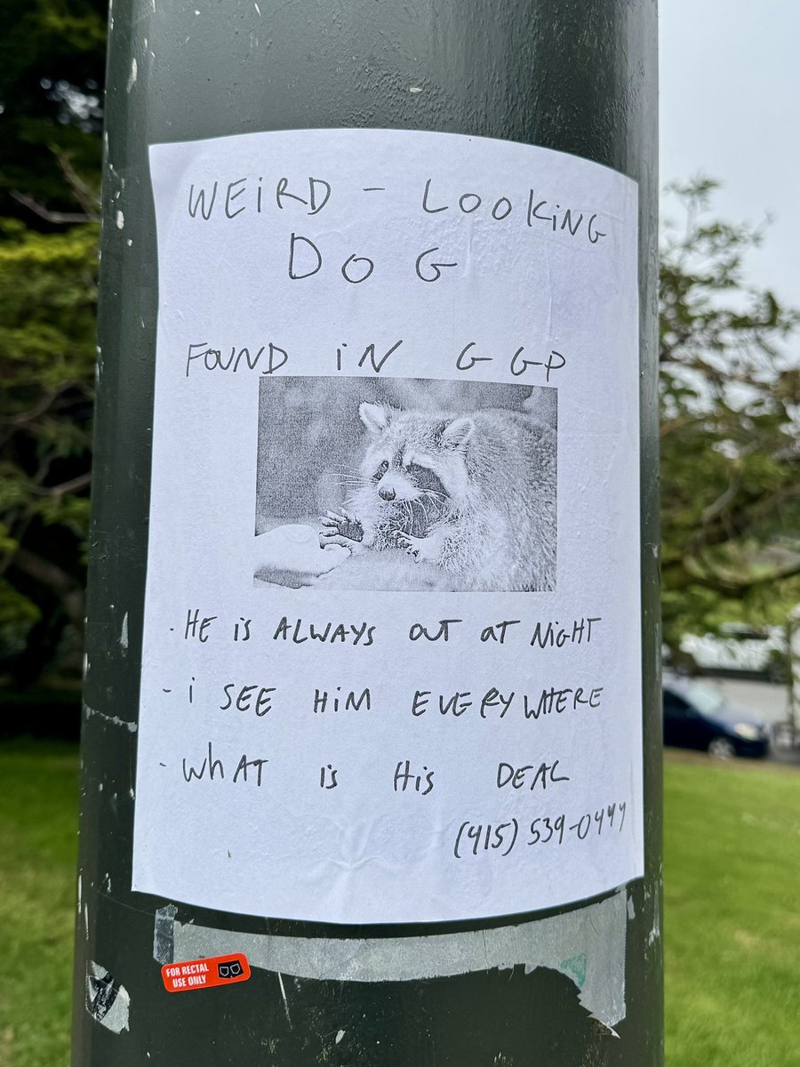 “Weird-Looking Dog” in Golden Gate Park. Welcome to #SanFrancisco