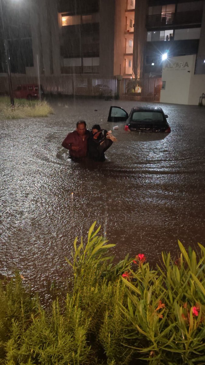 Rosy Corral tweet media