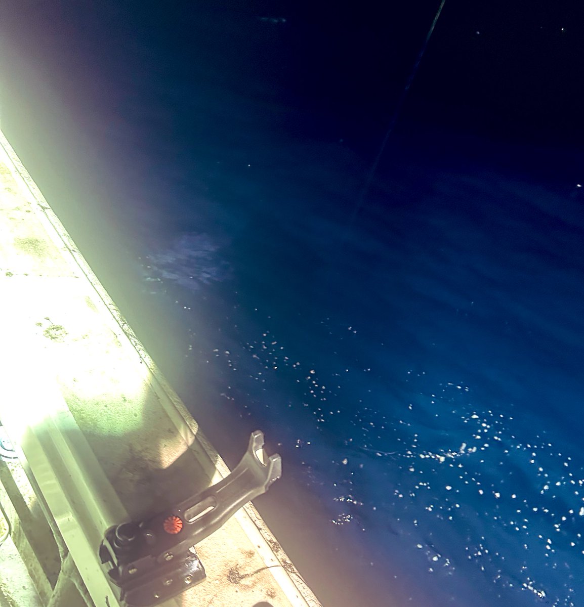 無事、陸に着きました。出来過ぎな釣果でした！

対戦ありがとうございました。
ちなみ船の周りにカジキがいたらしくビビりました。