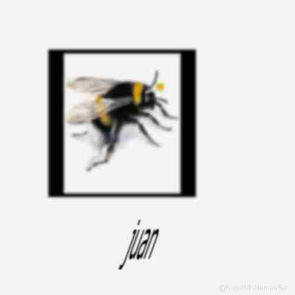 BugsWthNamesBot's tweet image. 🐝 Juan