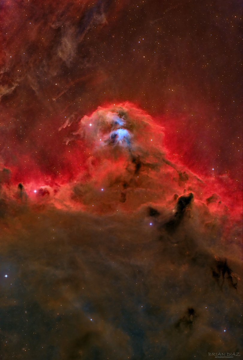 AstroBin.com (@astrobin_com) on Twitter photo Image of LDN 1584, shared on AstroBin by Brian Diaz, who used a telescope from AstroBin sponsor <a href="/TeleskopService/">Teleskop-Service Ransburg GmbH</a>: TS-Optics Photoline 130mm f/7 FPL53 Triplet Apo (APO130f7-P)
More: astrobin.info/ts-optics
Image: astrobin.com/s55u2o
Total: 21h 15′
Thanks for looking!
S. Image of LDN 1584, shared on AstroBin by Brian Diaz, who used a telescope from AstroBin sponsor <a href="/TeleskopService/">Teleskop-Service Ransburg GmbH</a>: TS-Optics Photoline 130mm f/7 FPL53 Triplet Apo (APO130f7-P)
More: astrobin.info/ts-optics
Image: astrobin.com/s55u2o
Total: 21h 15′
Thanks for looking!
S.