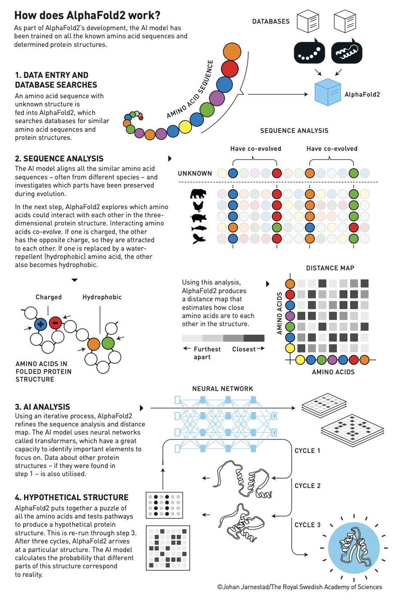 cybercaronte's tweet image. Hay gente con ganas de que la IA fracase y ponen de ejemplo a los LLMs y sus problemas. Pero los LLMs son solo una parte revolucionaria pero aún en desarrollo.
El verdadero impacto son los avances en Deep Learning con logros que ya han cambiado ciencia y tecnología. 🧵👇#IA