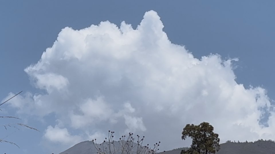 Joel (@joelmartinmora) on Twitter photo Hoy de nuevo convección <a href="/tenerife_meteo/">Meteo_Tenerife</a> <a href="/MeteoSW/">MeteoSW⛈️</a> <a href="/el_guayota/">El Guayota</a> <a href="/AGMCan/">AGMC - Actualidad Geográfica-Meteorológica de 🇮🇨</a> Hoy de nuevo convección <a href="/tenerife_meteo/">Meteo_Tenerife</a> <a href="/MeteoSW/">MeteoSW⛈️</a> <a href="/el_guayota/">El Guayota</a> <a href="/AGMCan/">AGMC - Actualidad Geográfica-Meteorológica de 🇮🇨</a>