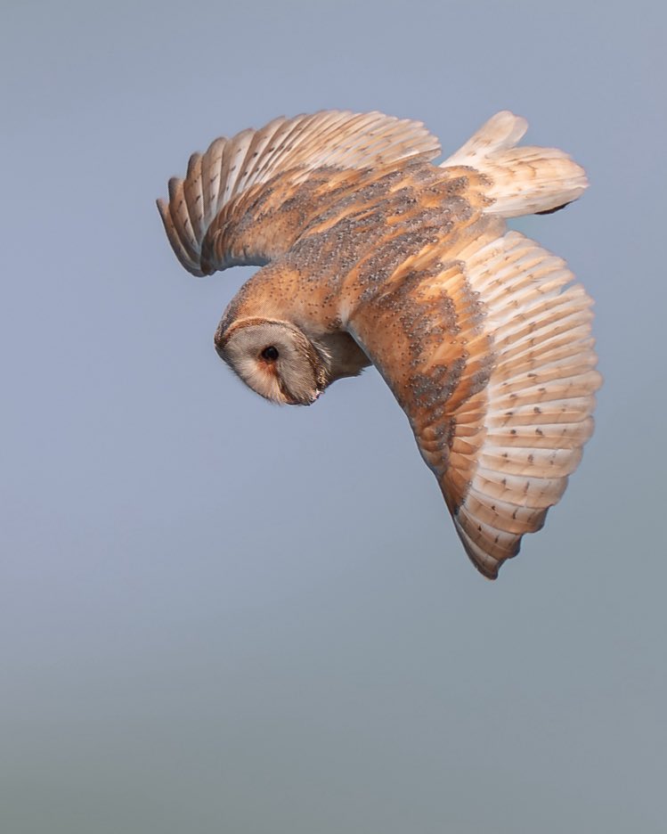 Paul Browning Photography tweet media