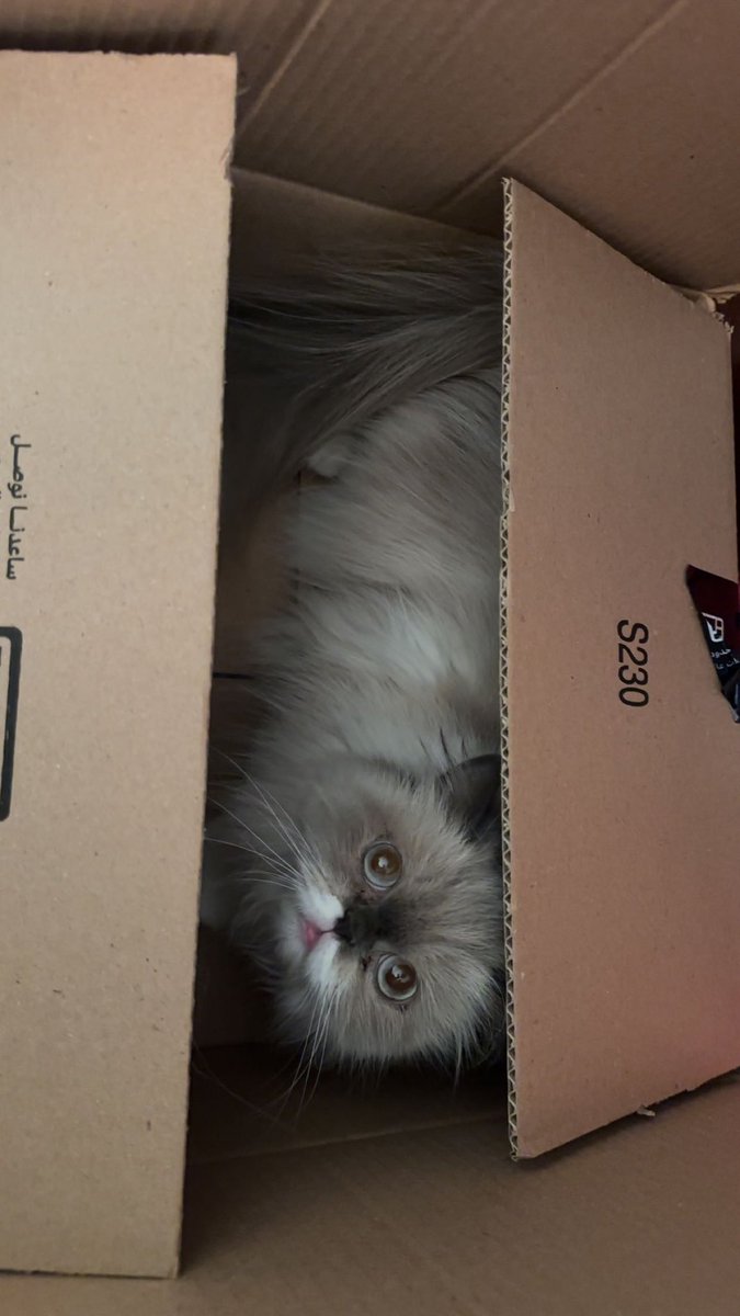 ساعدنا نوصل