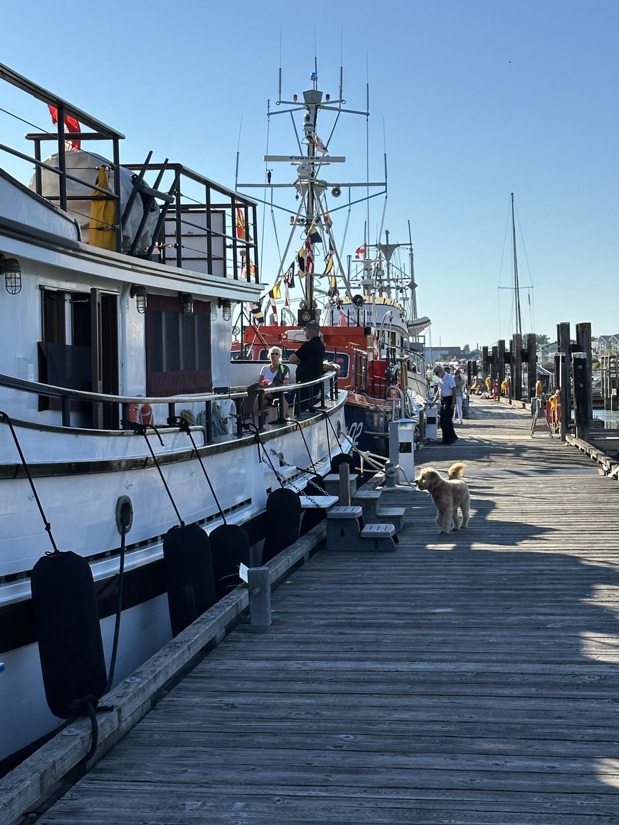 Strolling on the wharf enjoying at the Maritime Festival at Britannia Shipyard!