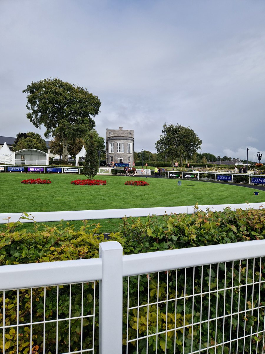 Alison Durkin tweet media