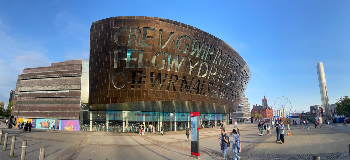 Sara_Sheenanigans tweet media