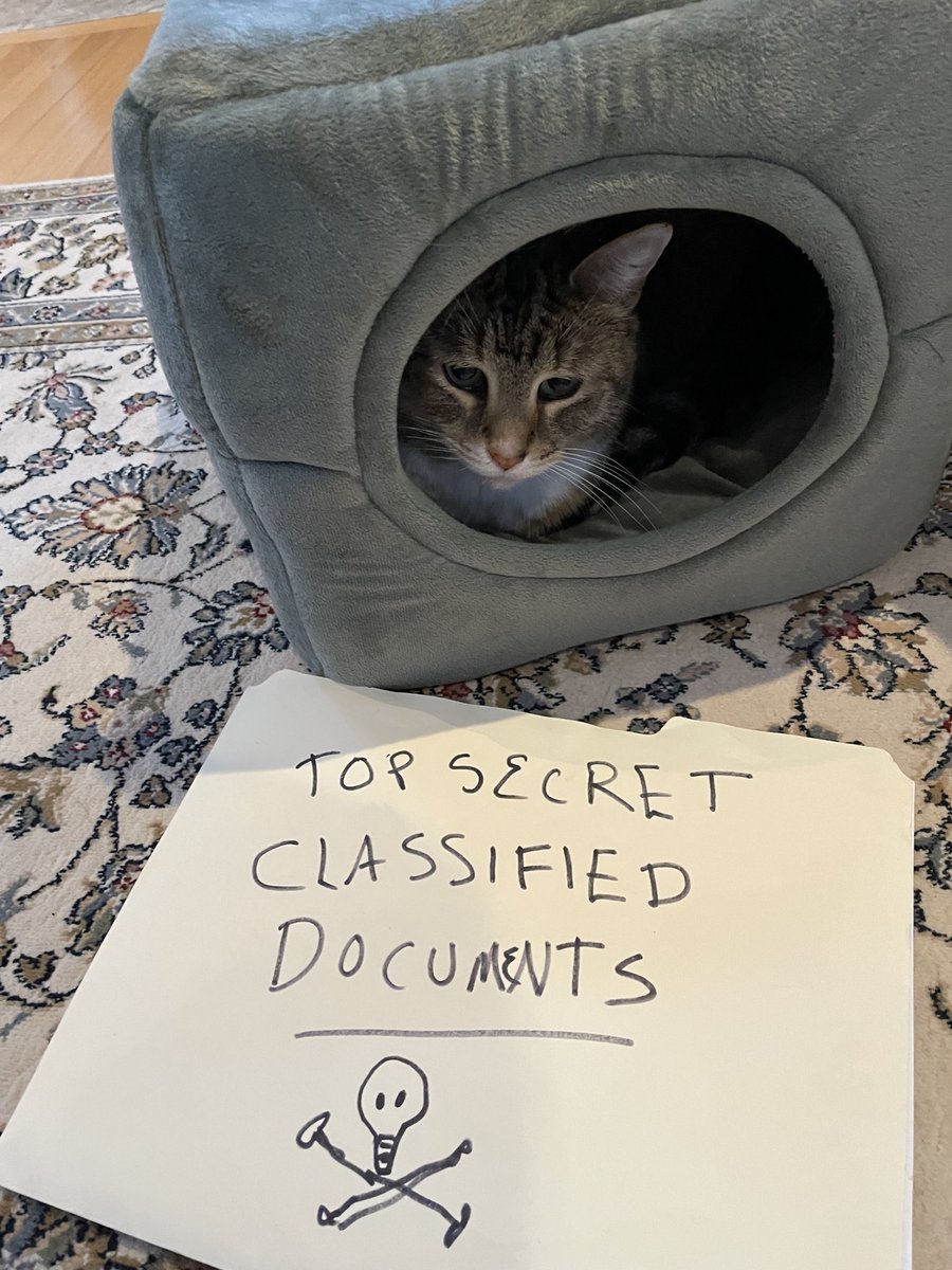 <a href="/3YearLetterman/">Three Year Letterman</a> <a href="/AliceShattuck/">Alice Shattuck</a> Well.,,