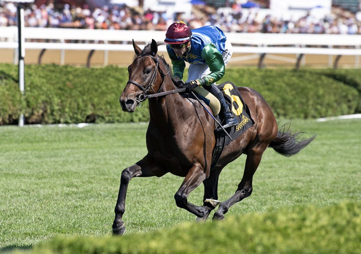 BOTTAS (Vekoma) becomes the 2nd TDN Rising Star out of Iadorakid, a mare we acquired for $130,000 at KEENOV before sending her to Justify and Vekoma.

This family has been epic for us.  We also purchased Botta's 2nd dam (Torreadora) for just $8,000 before she produced El Tormenta