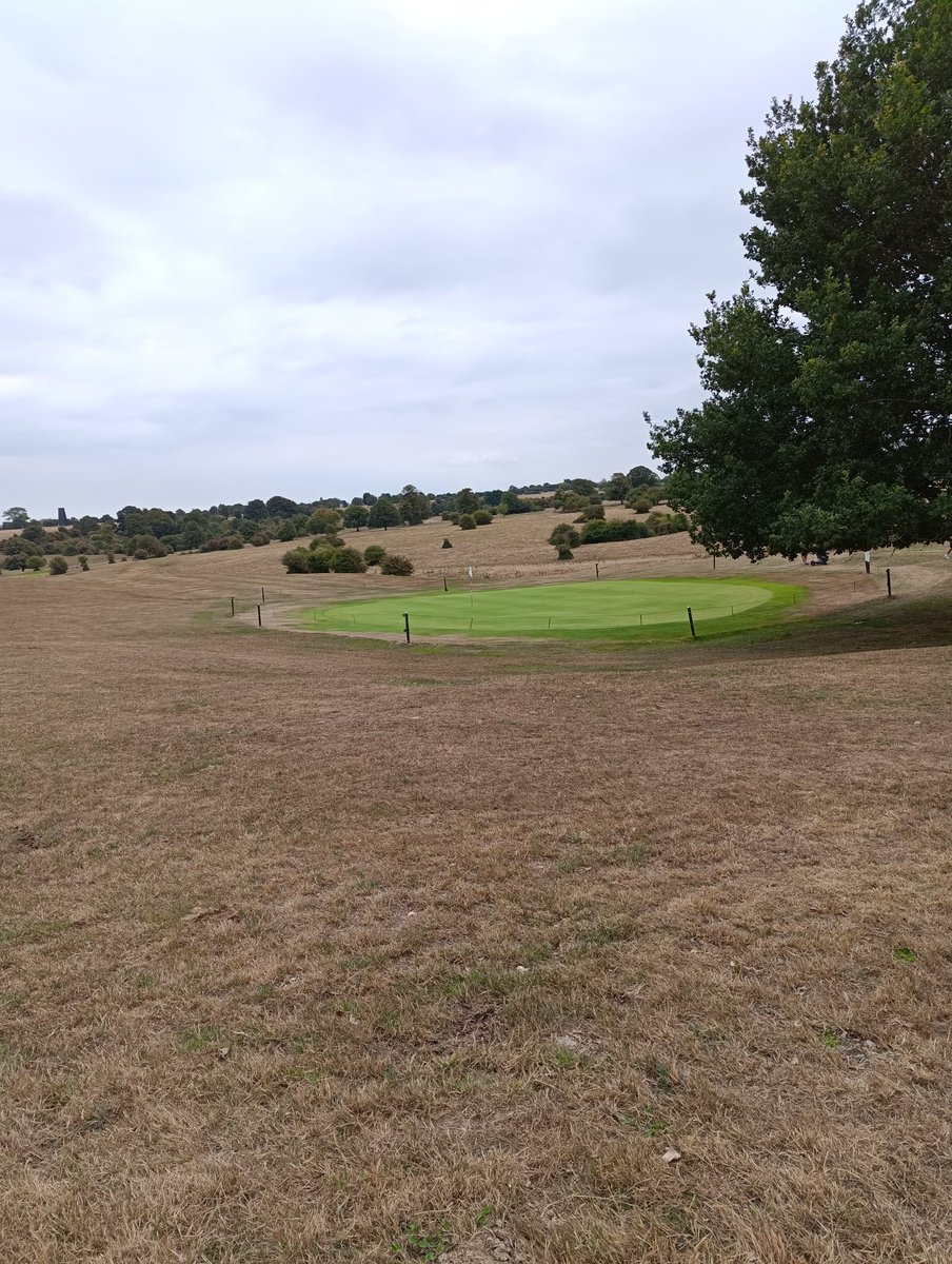 bambenos's tweet photo. This looked really strange when everything else was so brown. ⛳ https://t.co/Zw1Q7XKU9Z