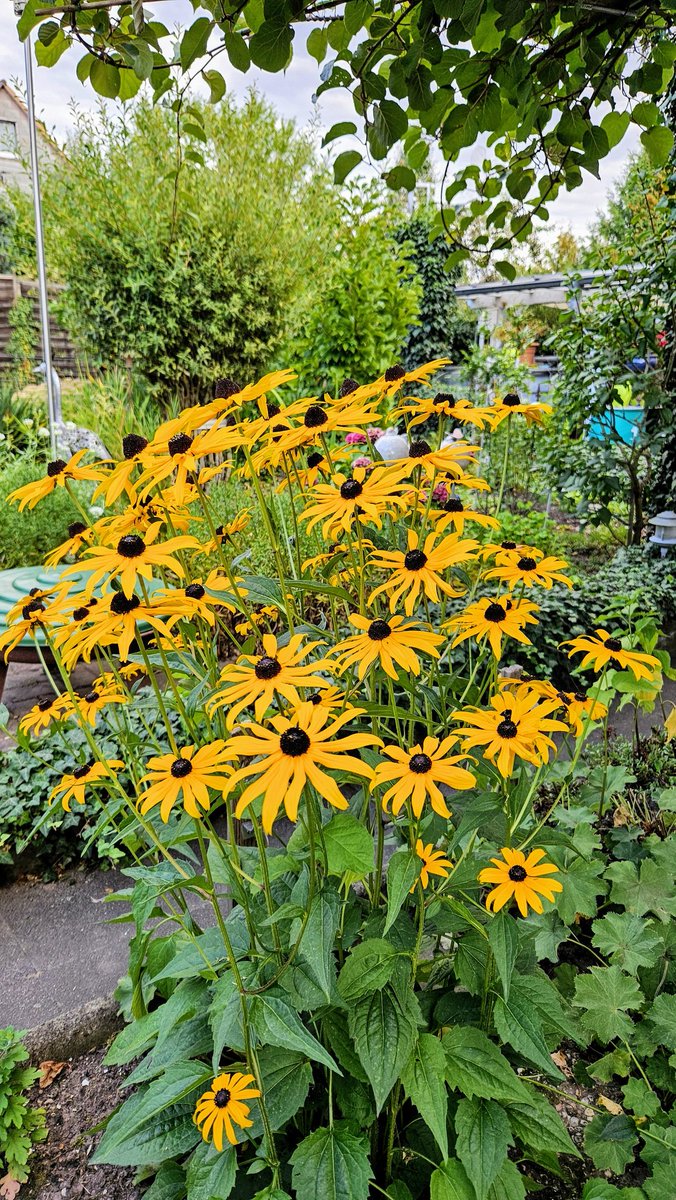 Liebe Grüße aus meinem Garten