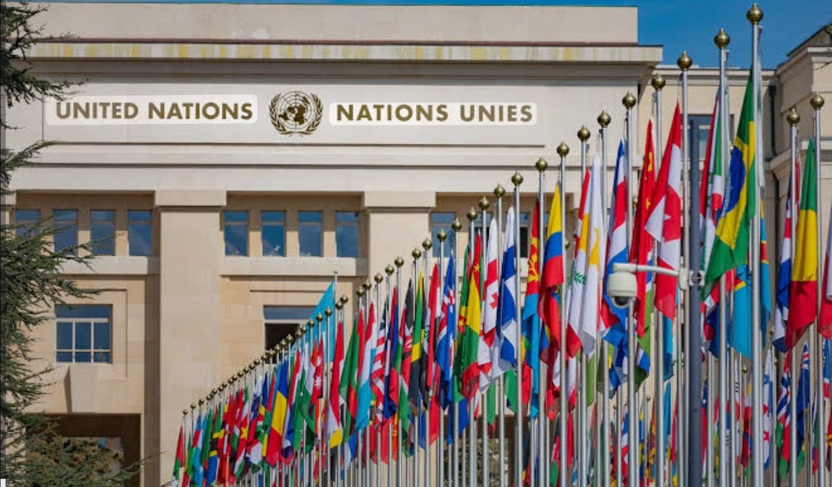 PBB Resmi Umumkan Bencana Kelaparan di Gaza – Fakta yang Tak Bisa Kita Abaikan.
1/ Dunia menoleh ke Gaza.
Perserikatan Bangsa-Bangsa (PBB) baru saja resmi mengumumkan bencana kelaparan di wilayah utara Jalur Gaza.
👉 Ini adalah pengumuman KELAPARAN pertama dalam sejarah TIMUR