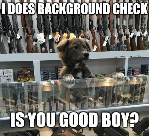 This is my final offer on a gun control compromise.

We let this dog decide if you are a good person. If the dog doesn't like you, then you can't have a gun.

I trust this dog's instincts FAR more than government background checks.