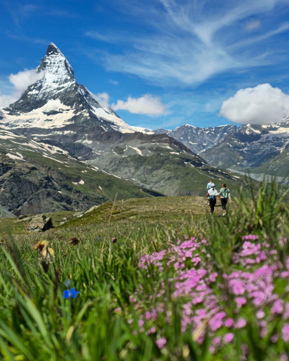 ECHO_trails's tweet photo. Big news from ECHO Rails🏔️
We’re thrilled to announce that ECHO Rails will be part of the Switzerland Travel Mart 2025 in Zermatt 🇨🇭 https://t.co/xRf3G1hu6f